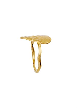 Cardissa ring Gold Maanesten 